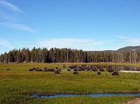 Yellowstone (11).JPG